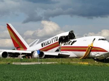 Sonhar com Avião Caindo